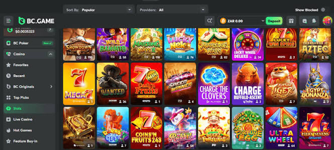 BC.Game Casino A Comprehensive Guide for German Players