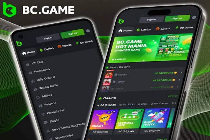 Explore the World of BC.Game Cryptocurrency Casino